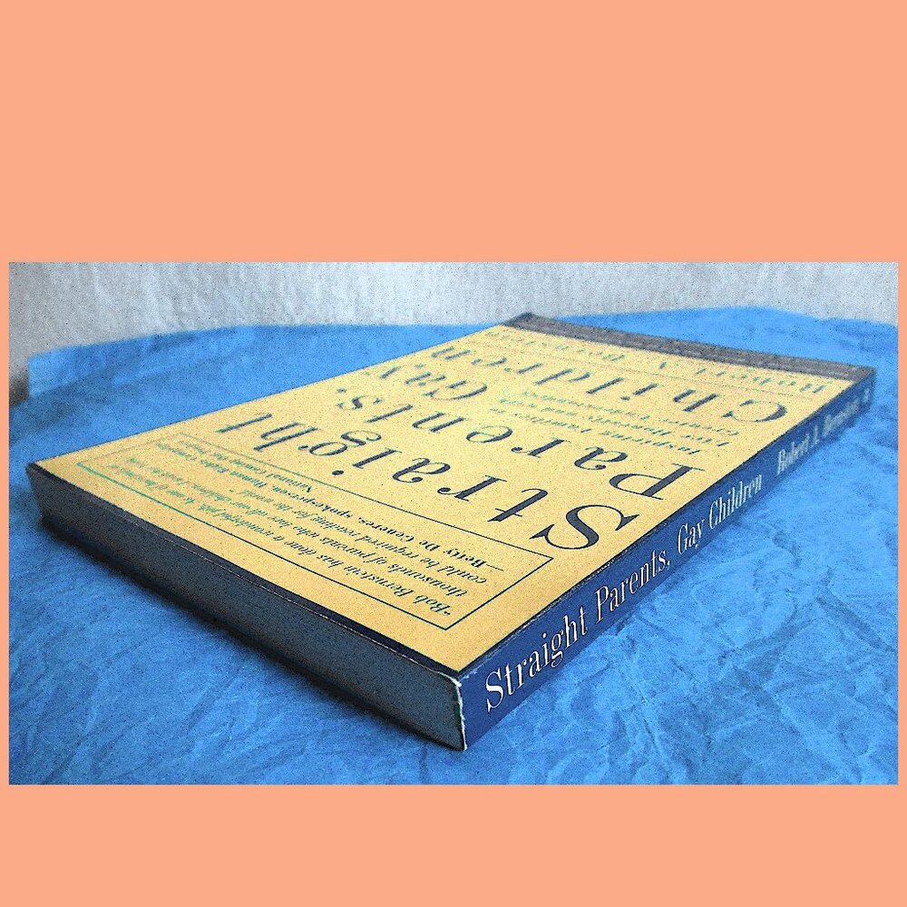 Book - Straight Parents, Gay Children: Inspiring Families to Live Honestly.... - Picture 13 of 14